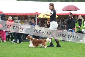 182009_rin_02_R62_0600.JPG