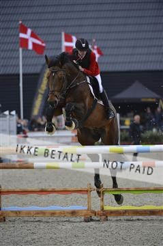 139644_abo_01__AB14409.JPG