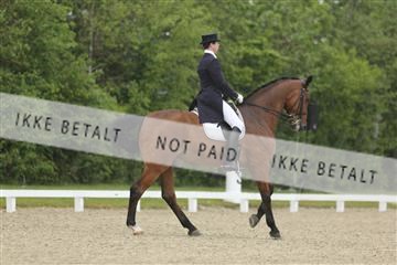 139835_sg_02_IMG_8558.JPG