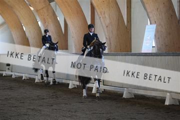 139267_kl_1_8M1Q6716.JPG