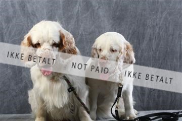 129608_le_ 01_0744.JPG