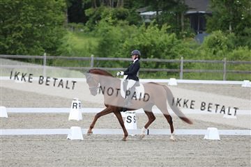 172030_mtp_01_3M5A1509.JPG