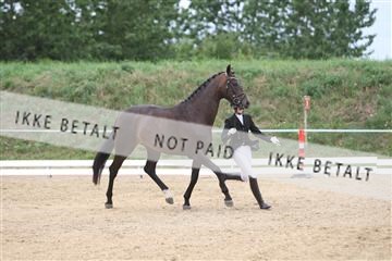 125406_sc_02_IMG_0411.jpg