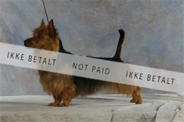 5493_sme _04__MG_9884.JPG