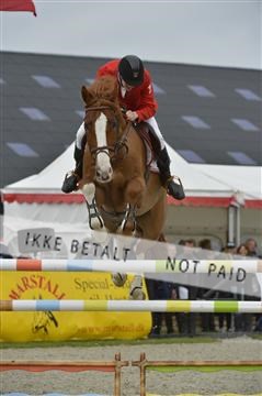 139644_bc_01__BC18866.JPG