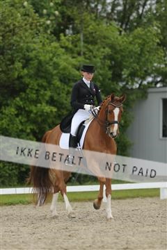 139835_sg_03_IMG_9082.JPG