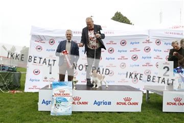 182009_kar_01__62_5170.JPG