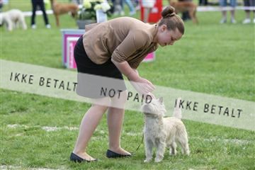 134871_ms_04_IMG_0240.JPG