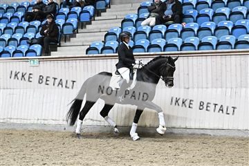182241_kbb_01_Z095051.JPG