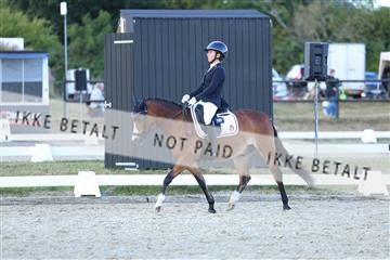 181894_mtp_05_R62_5455.JPG