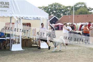 181848_kar_01__62_2174.JPG