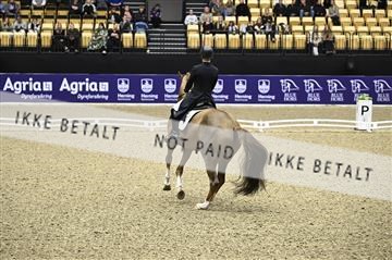 182194_kbb_02_Z098683.JPG