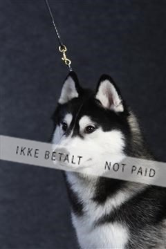 132082_le_ 01_IMG_0101.JPG