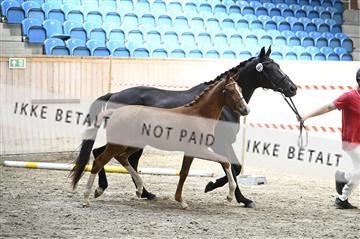 181754_kbb_01_Z094157.JPG