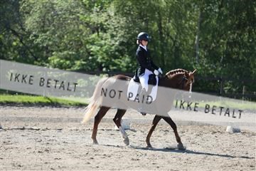 168732_mtp_01_3M5A6104.JPG