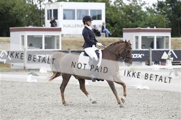 166078_rhj_01__J7R3445.JPG
