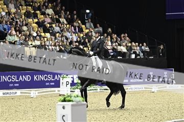 182194_kbb_03_Z092144.JPG