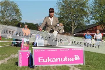 134871_ms_03_IMG_0320.JPG