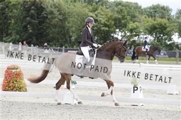 166078_rhj_01__J7R2478.JPG
