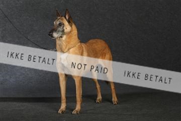 132082_le_ 01_IMG_0855.JPG