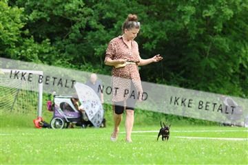 181564_rin_02_R62_1607.JPG