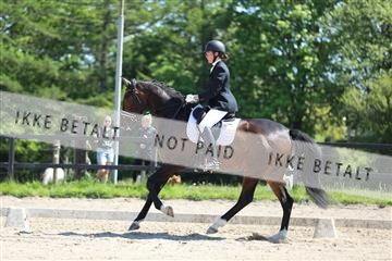 168732_mtp_01_3M5A7516.JPG