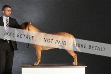 132082_le_ 01_IMG_1588.JPG