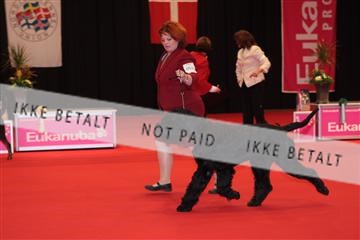 126827_tl_04_IMG_9925.JPG