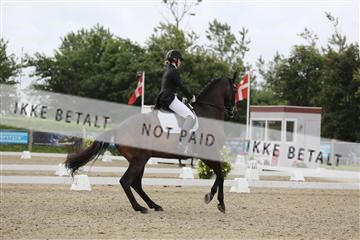 156196_nn_01_IMG_5183.JPG