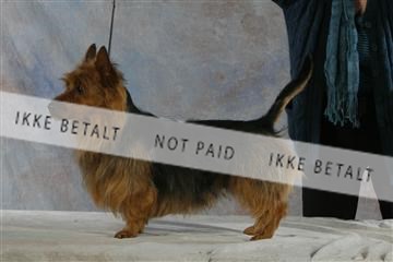 5493_sme _04__MG_9888.JPG