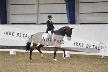 140040_abo_02__AB18424.JPG