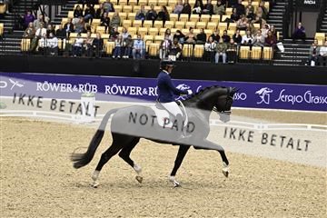 182194_kbb_03_Z091343.JPG