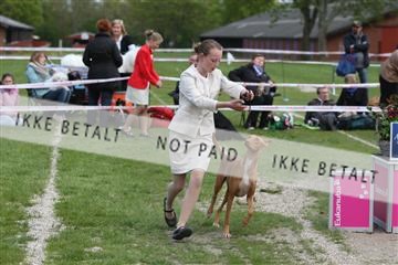 134871_ms_04_IMG_0207.JPG