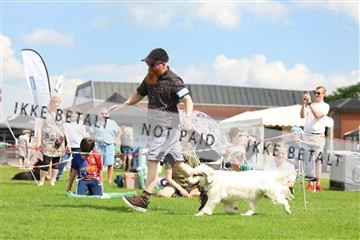 181564_rin_01_R62_9094.JPG
