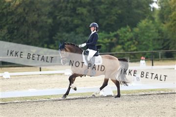 181894_mtp_02_R62_1537.JPG