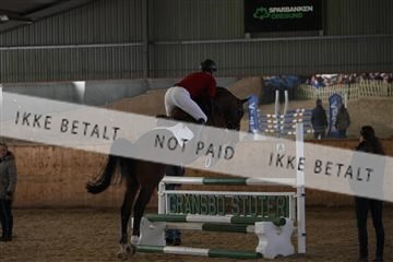 139206_kl_1_8M1Q5240.JPG
