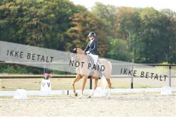 181894_mtp_04_R62_3872.JPG