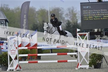 139644_abo_01__AB14368.JPG