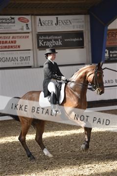139422_bc_03__BC26116.JPG