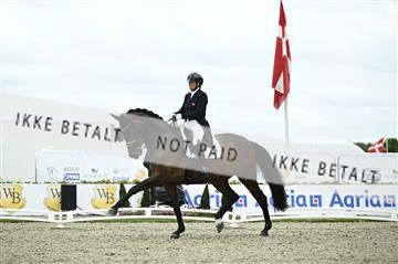 181449_kbb_03_Z092061.JPG