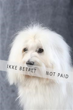 129608_le_ 01_0309.JPG