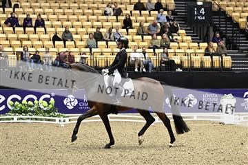182194_kbb_03_Z099970.JPG