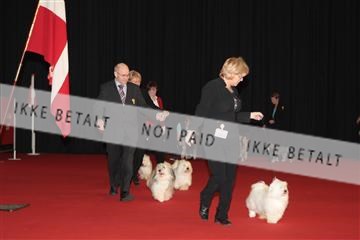 126827_tl_02_IMG_2806.JPG