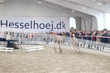 174363_kbb_01_R6II8525.JPG