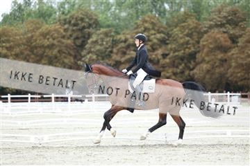 181923_mtp_01_R62_6817.JPG
