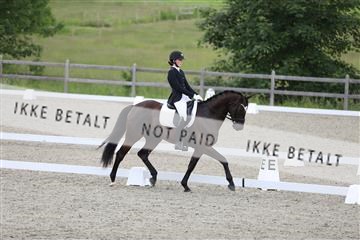 172030_mtp_01_3M5A1968.JPG