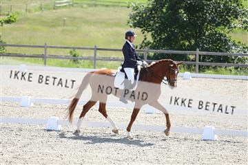 172030_mtp_01_3M5A2505.JPG