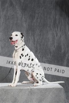 130054_le_ 03_0122.JPG