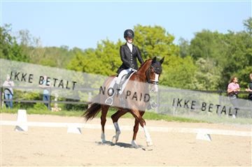 168732_mtp_01_3M5A8468.JPG