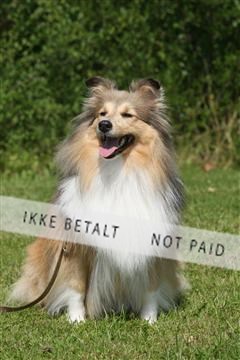 130370_se_02_IMG_6120.JPG